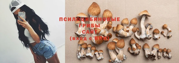 a pvp Бронницы