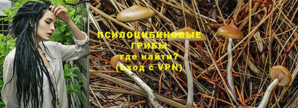 кокаин колумбия Бородино