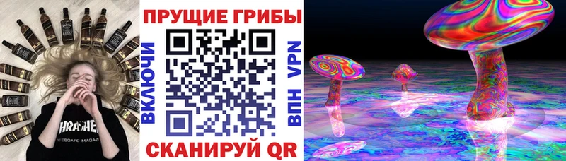 Псилоцибиновые грибы MAGIC MUSHROOMS мориарти формула Дигора