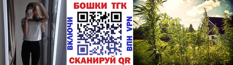 где можно купить   Дигора  Бошки марихуана сатива 